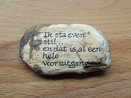 versteend hout